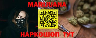 крисы Кулебаки