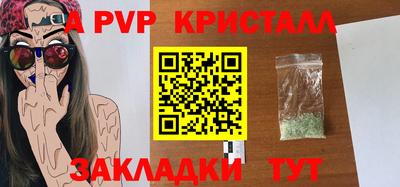 крисы Кулебаки