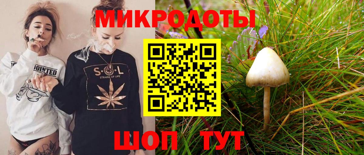 Псилоцибиновые грибы Psilocybe Качканар